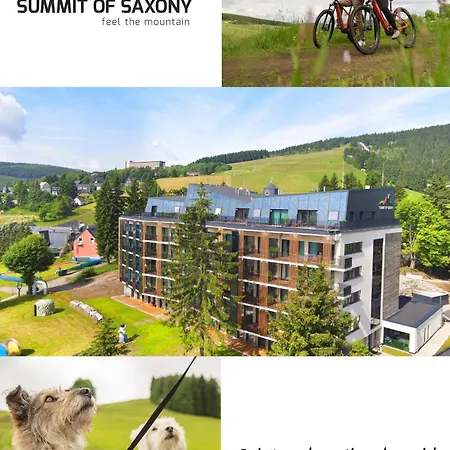 Summit Of Saxony
